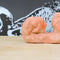 object/wi20-091
